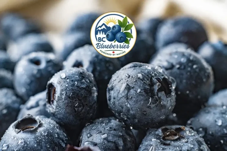 BC Blueberries at Village Food Markets Sooke