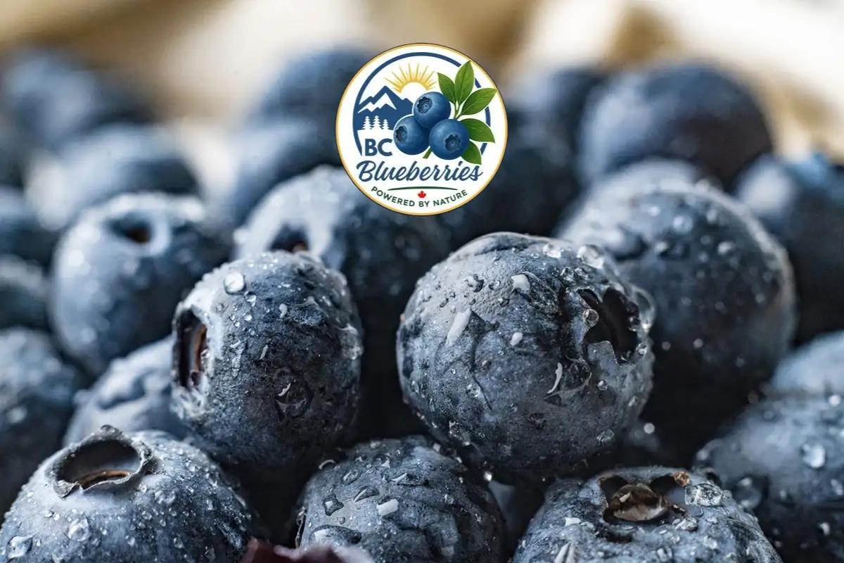 BC Blueberries Available Now!
