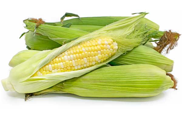 Bicolour Corn on the Cob