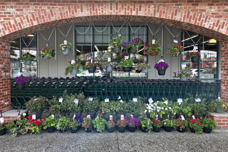 Flower Baskets at Village Food Markets Sooke